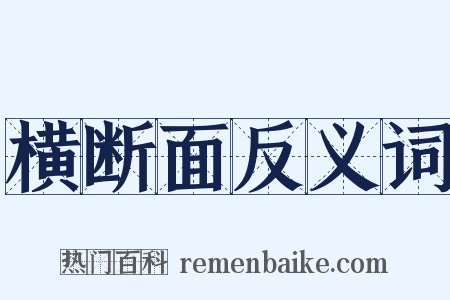 横断面反义词是什么意思的图片